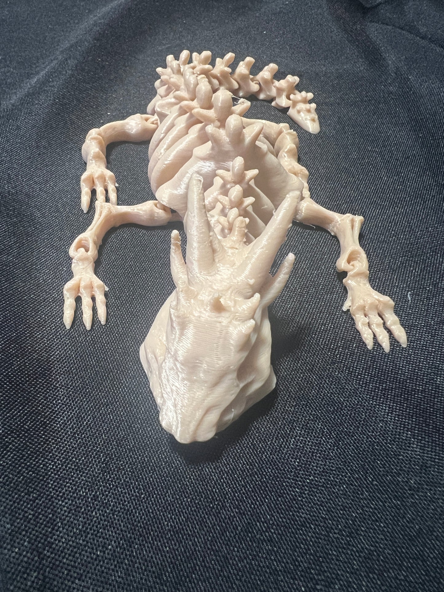 Articulated dragon