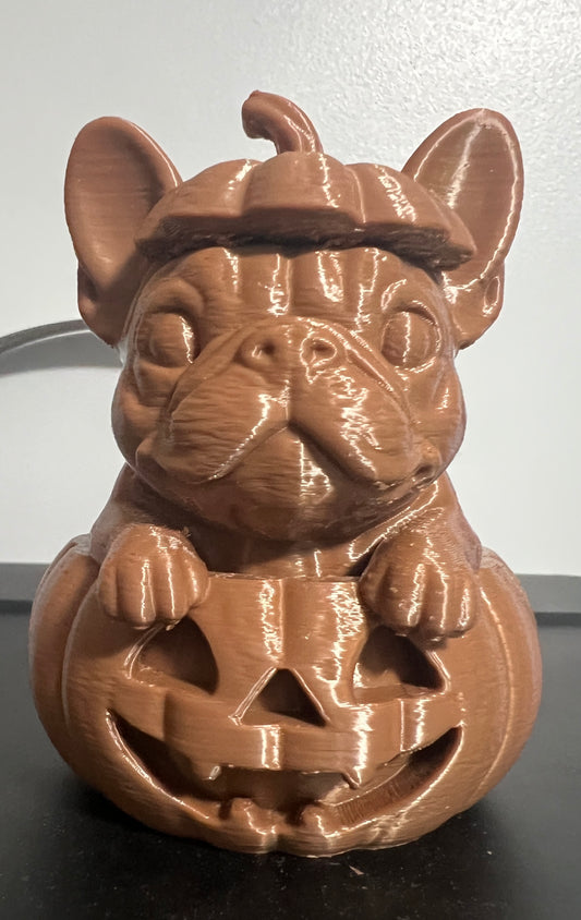 Frenchie in a Pumpkin